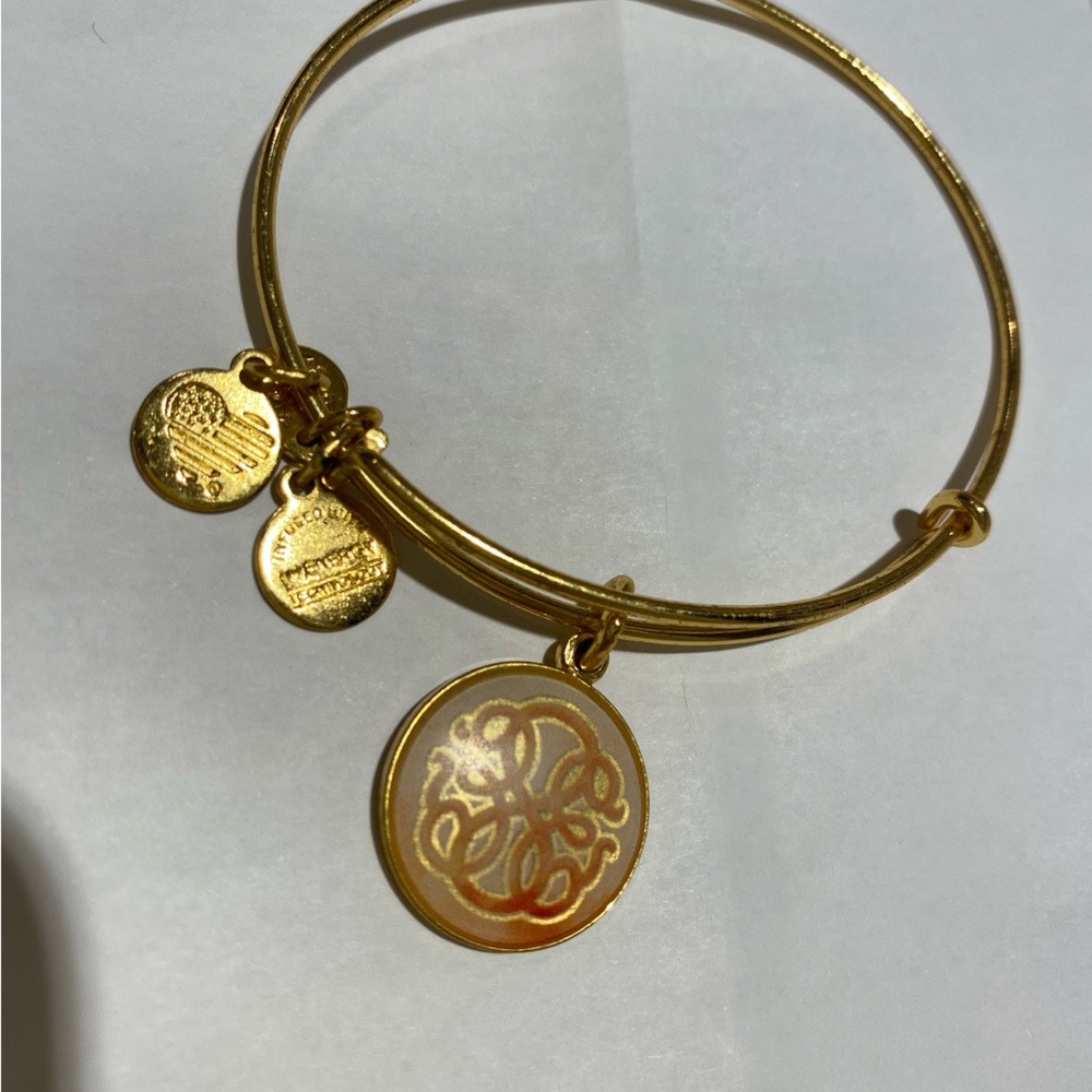 “PATH OF LIFE” ALEX and ANI bracelet